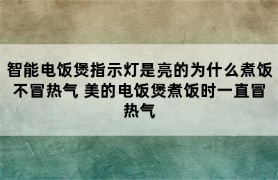 智能电饭煲指示灯是亮的为什么煮饭不冒热气 美的电饭煲煮饭时一直冒热气